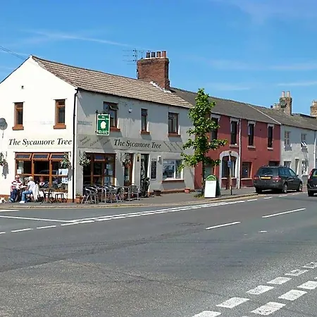 The Sycamore Tree Longtown (Cumbria)