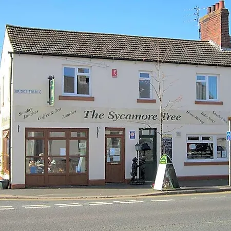 The Sycamore Tree Nocleg ze śniadaniem