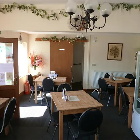 The Sycamore Tree Frühstückspension